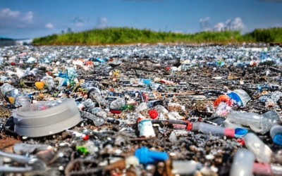 Zanieczyszczenie plastikiem oznacza wymarcie: