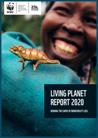 Raport „Żyjąca Planeta 2020”: Upadek ekosystemów